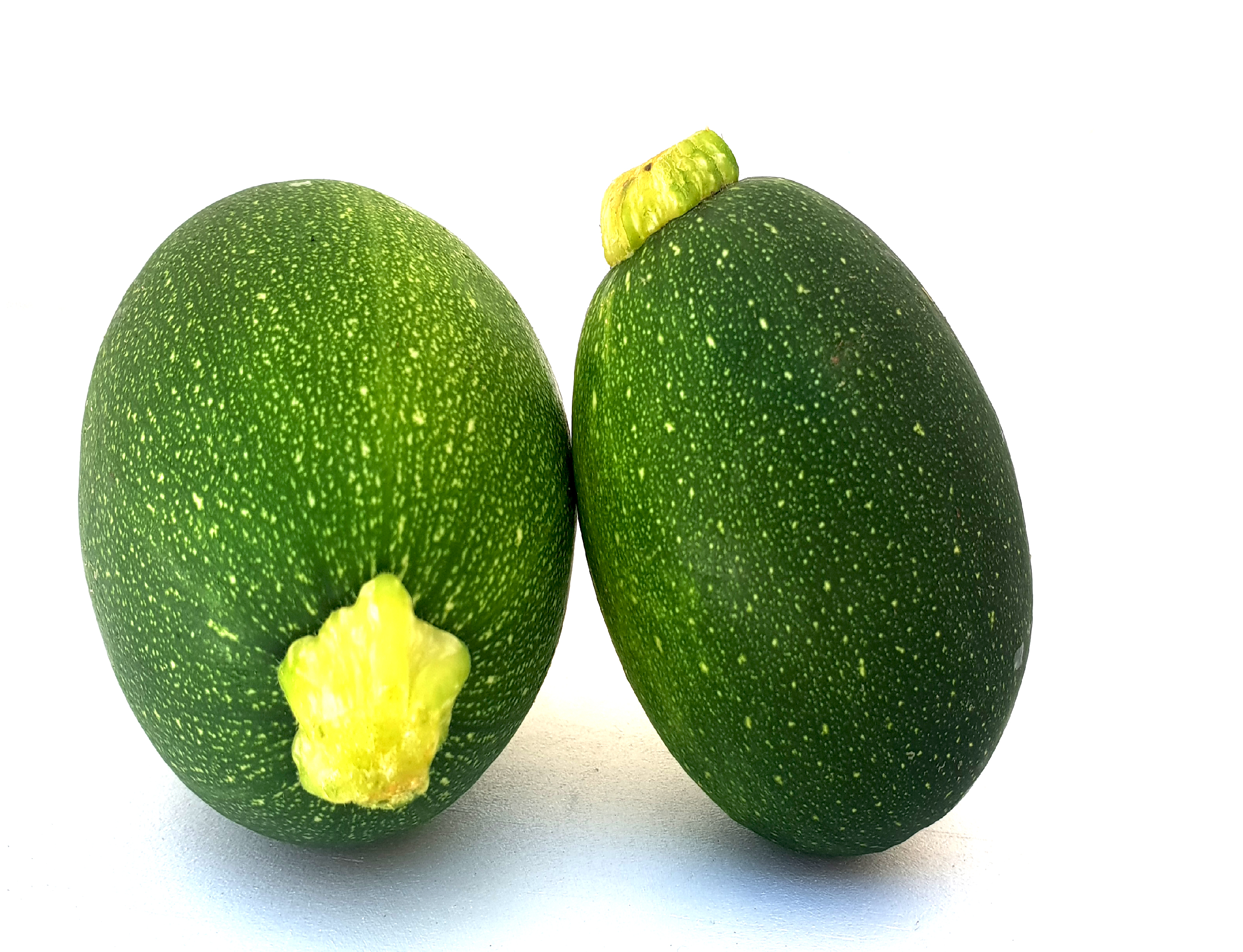 Baby gem squash