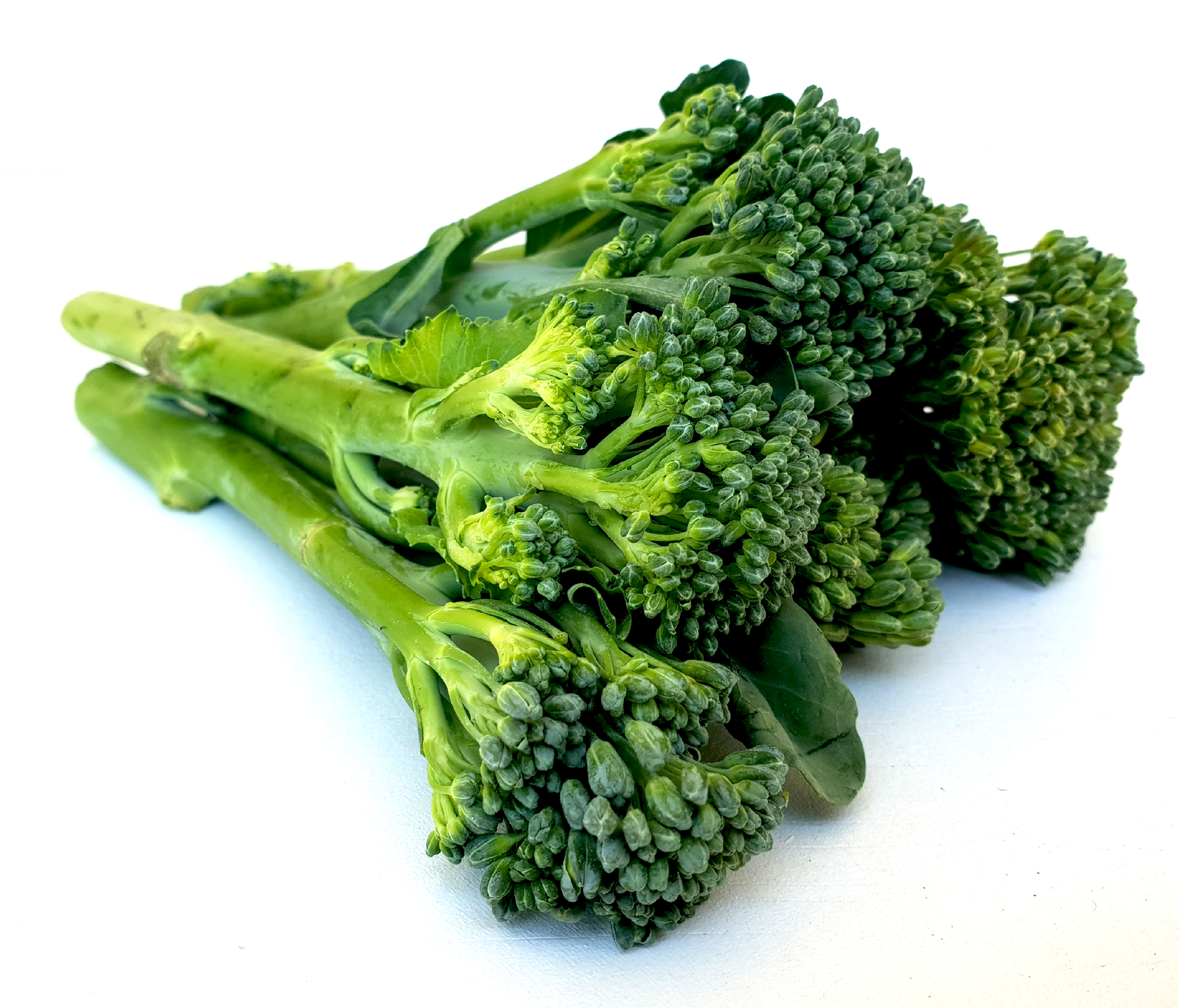 Brocolli Long