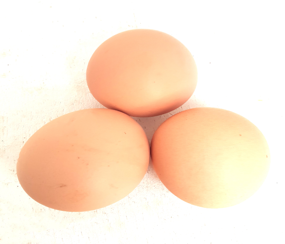Eggs