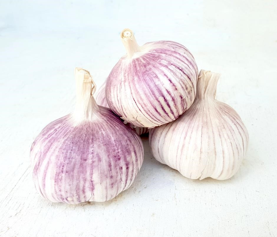 Garlic