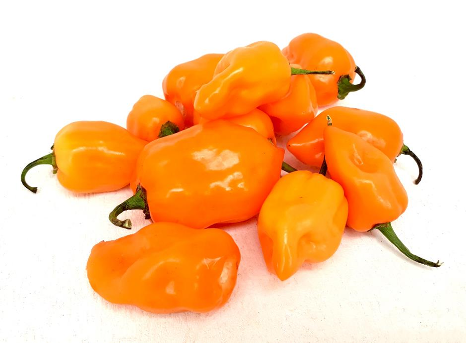 Habanero