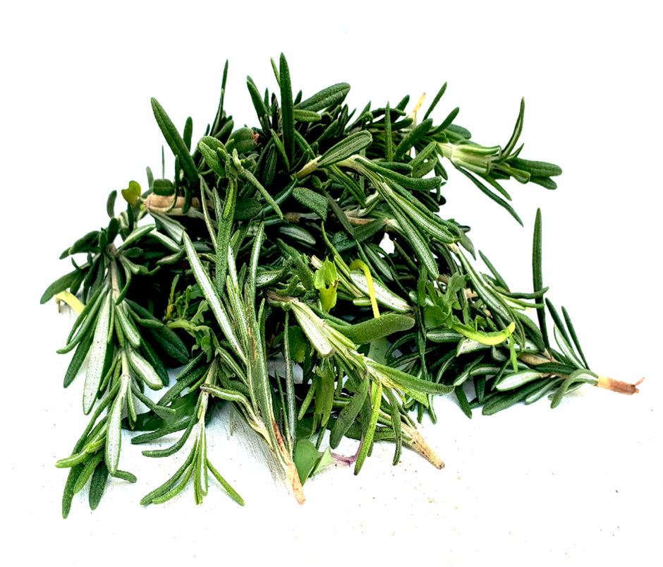 Rosemary