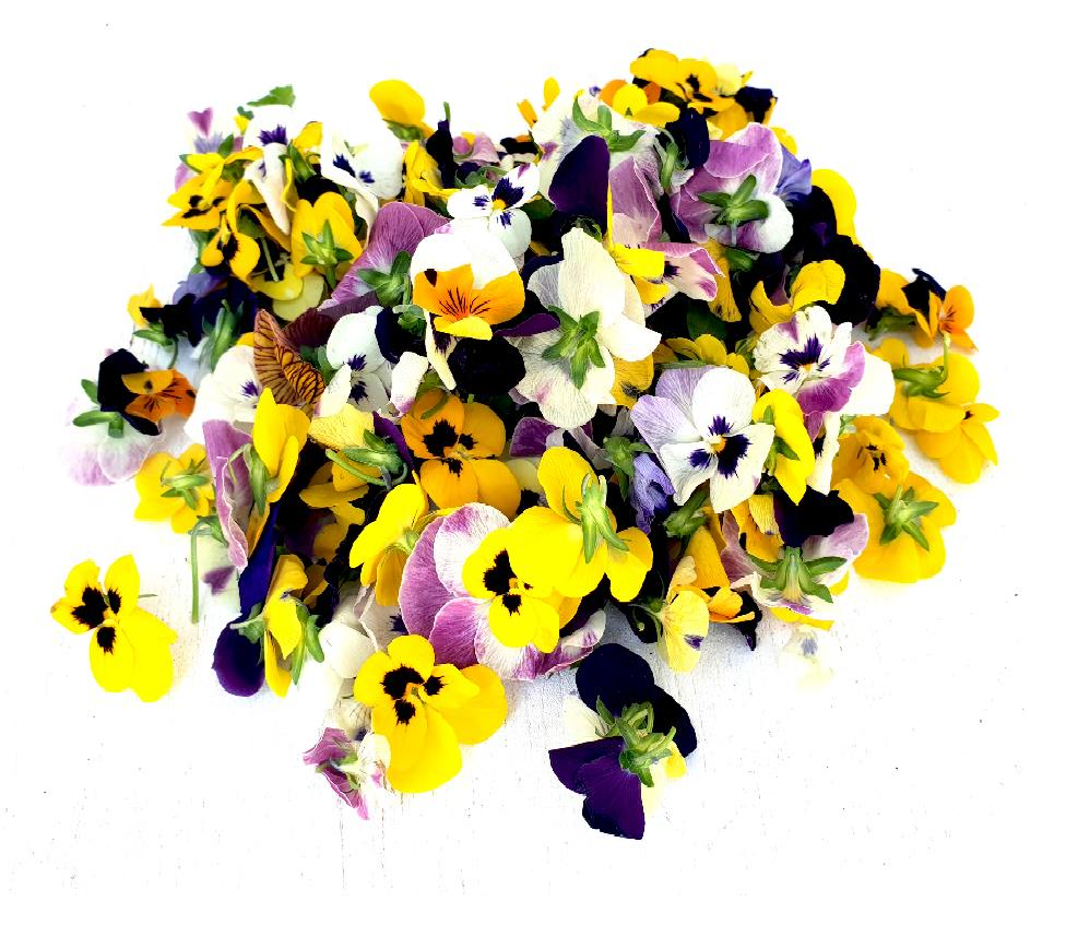 Edible-flowers